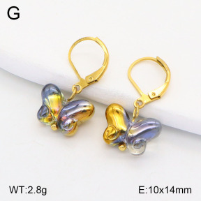 2E4004212vail-420  Stainless Steel Earrings
