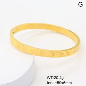 6BA200789bbov-749  Stainless Steel Bangle