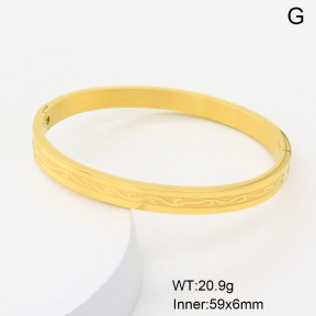 6BA200790bbov-749  Stainless Steel Bangle