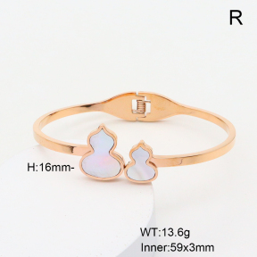 6BA300370bbov-749  Stainless Steel Bangle