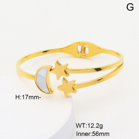 6BA300372vbpb-749  Stainless Steel Bangle