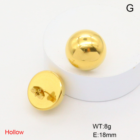 6E2006896bbov-749  Stainless Steel Earrings