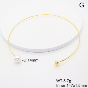 6N3001794bhia-749  Stainless Steel Necklace
