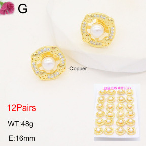 TE2000506amaa-J22  Fashion Earrings