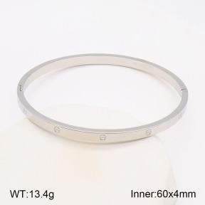 TZ2000463vbmb-377  SS Bangles
