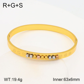 TZ2000464bhia-377  SS Bangles