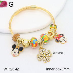 TZ2000465bhva-J39  Fashion Bangles