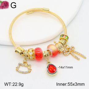TZ2000466bhva-J39  Fashion Bangles