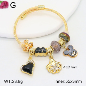 TZ2000467bhva-J39  Fashion Bangles