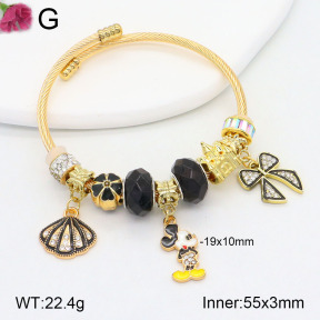 TZ2000468bhva-J39  Fashion Bangles