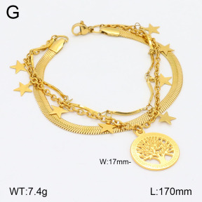 2B2003695bbov-350  Stainless Steel Bracelet