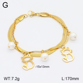 2B3003654bbov-350  Stainless Steel Bracelet