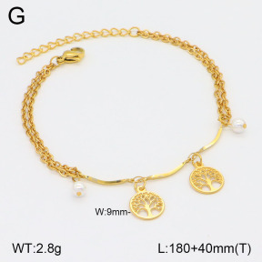 2B3003667ablb-350  Stainless Steel Bracelet