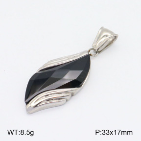 2P4001092vbpb-239  Stainless Steel Pendant