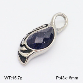 2P4001094bhva-239  Stainless Steel Pendant