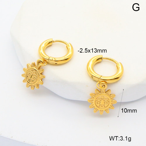 6E2007020bhva-908  316 Pin PVD  Stainless Steel Earrings