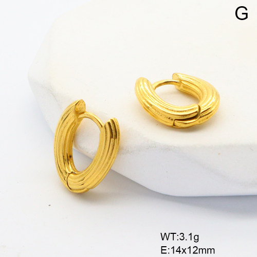 6E2007049bhbo-G034  316 SS PVD,Handmade Polished  Stainless Steel Earrings