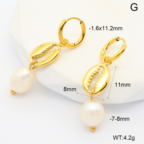 6E3002648bhia-908  316 Pin PVD  Stainless Steel Earrings