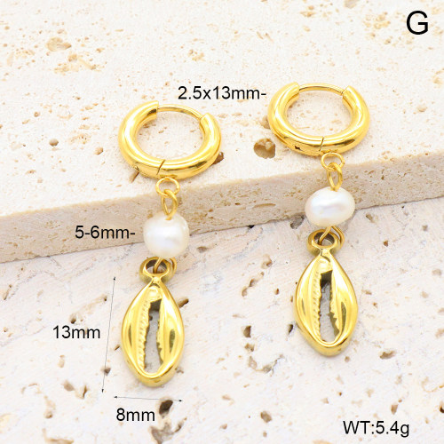 6E3002649bhia-908  316 Pin PVD  Stainless Steel Earrings