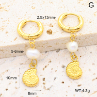 6E3002650bhia-908  316 Pin PVD  Stainless Steel Earrings