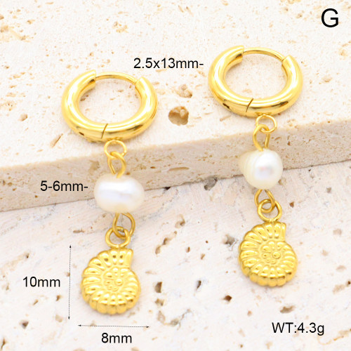 6E3002650bhia-908  316 Pin PVD  Stainless Steel Earrings