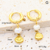 6E3002651bhia-908  316 Pin PVD  Stainless Steel Earrings