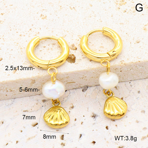6E3002651bhia-908  316 Pin PVD  Stainless Steel Earrings