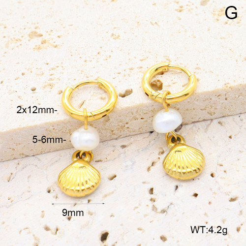 6E3002653bhia-908  316 Pin PVD  Stainless Steel Earrings