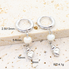 6E3002655vhha-908  316 Pin PVD  Stainless Steel Earrings