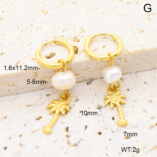 6E3002656bhia-908  316 Pin PVD  Stainless Steel Earrings