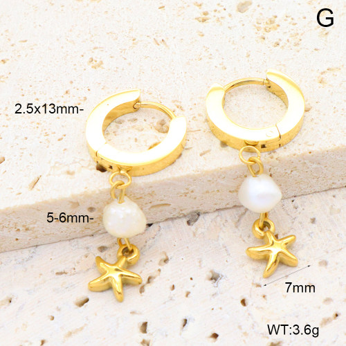 6E3002657ahjb-908  316 Pin PVD  Stainless Steel Earrings