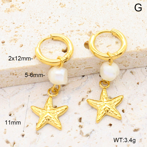 6E3002658bhia-908  316 Pin PVD  Stainless Steel Earrings