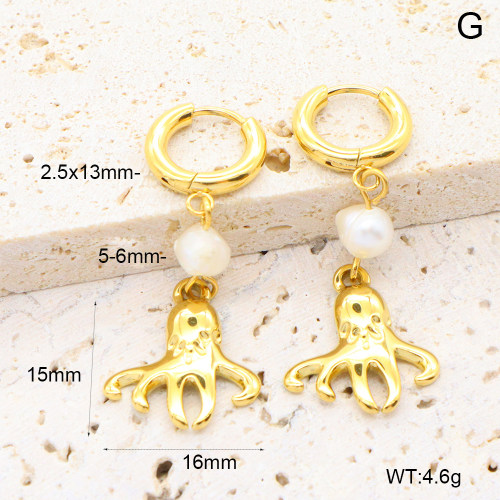 6E3002659bhia-908  316 Pin PVD  Stainless Steel Earrings