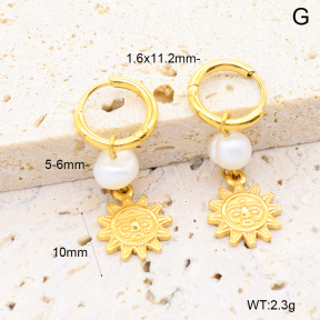 6E3002660bhia-908  316 Pin PVD  Stainless Steel Earrings