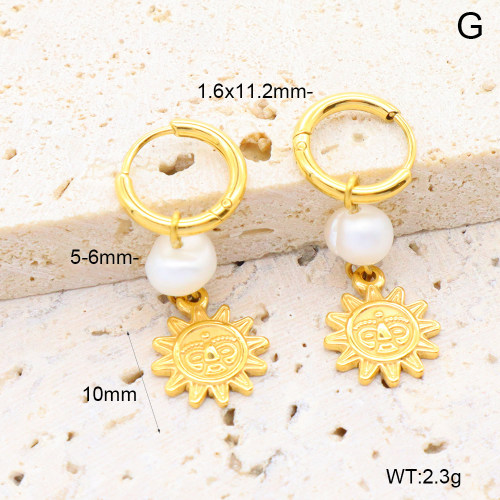 6E3002660bhia-908  316 Pin PVD  Stainless Steel Earrings
