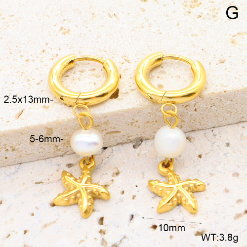 6E3002661bhia-908  316 Pin PVD  Stainless Steel Earrings