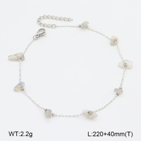 2A9001567aakl-418  Stainless Steel Anklets
