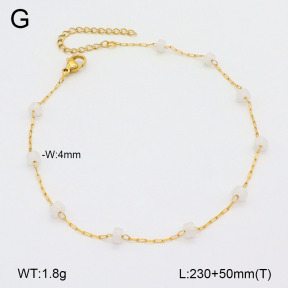 2A9001576ablb-418  Stainless Steel Anklets