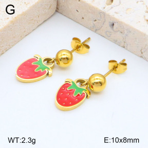 2E3003233aakl-418  Stainless Steel Earrings