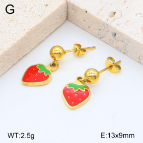 2E3003234aakl-418  Stainless Steel Earrings