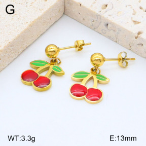 2E3003236aakl-418  Stainless Steel Earrings