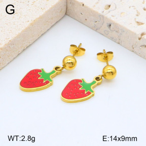 2E3003238aakl-418  Stainless Steel Earrings