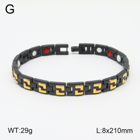 2B2003788aivb-661  Stainless Steel Bracelet