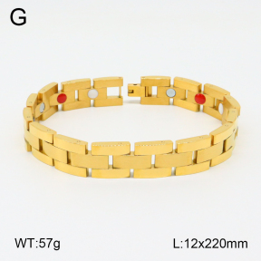2B2003790vihb-661  Stainless Steel Bracelet