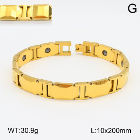 2B2003800ajvb-661  Stainless Steel Bracelet