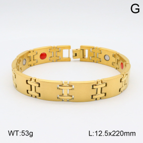 2B2003801ahpv-661  Stainless Steel Bracelet