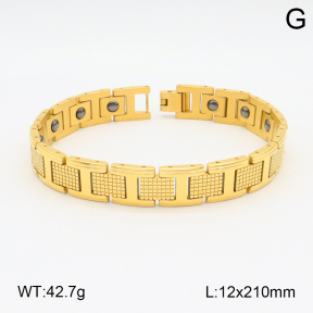 2B2003807aivb-661  Stainless Steel Bracelet