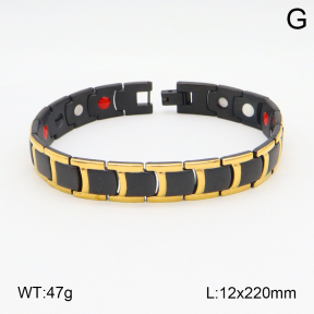 2B2003808biib-661  Stainless Steel Bracelet