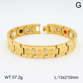 2B2003810aivb-661  Stainless Steel Bracelet