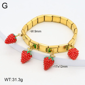 2B3003722ahlv-434  Stainless Steel Bracelet
